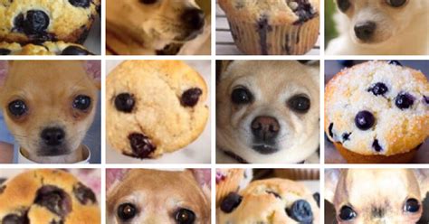 how are dogs similar to cookies